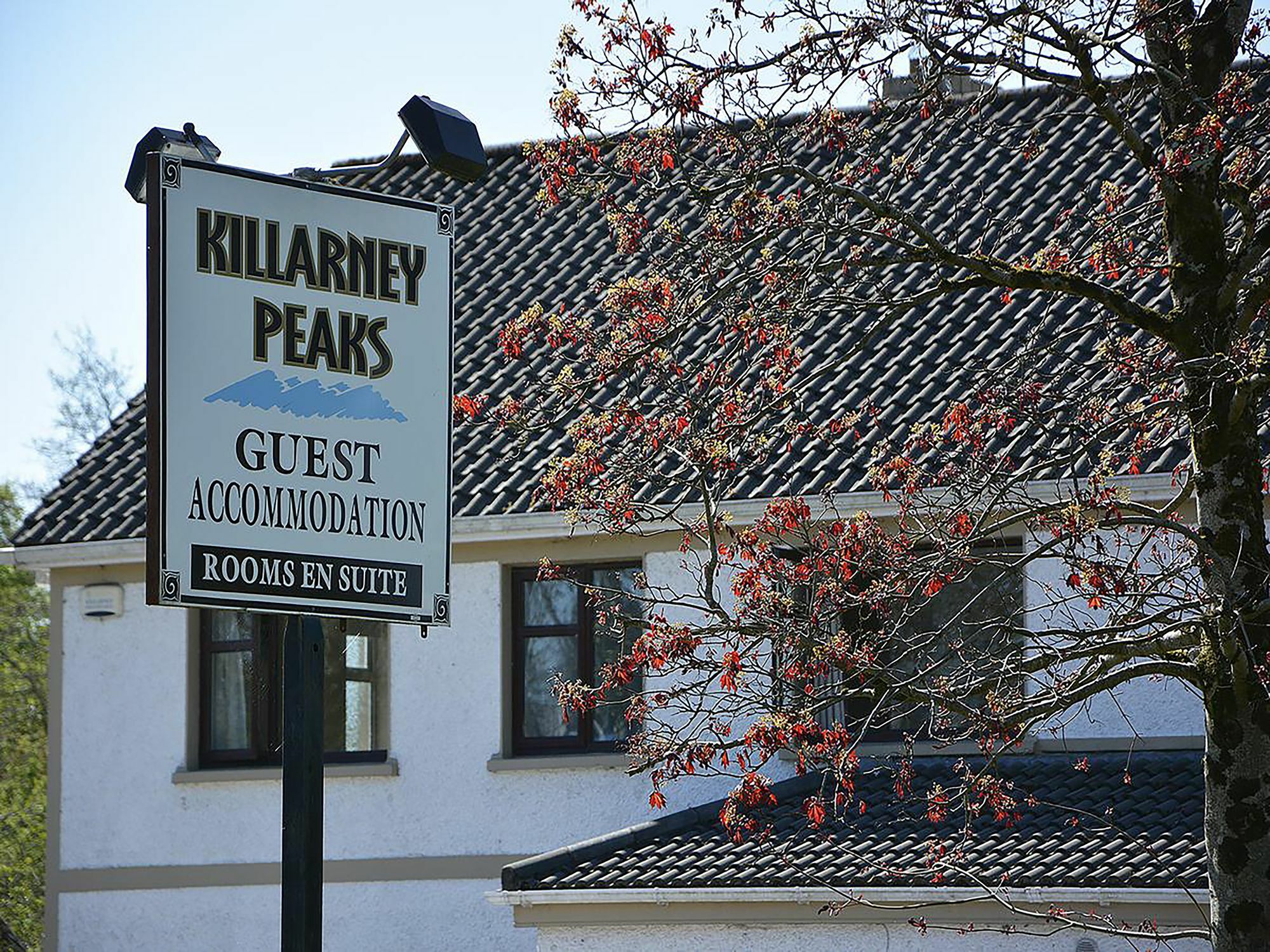 Killarney Peaks Guesthouse Bagian luar foto